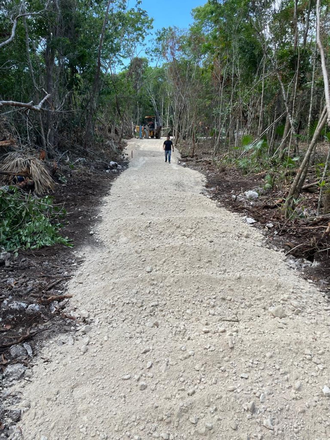 Camino de acceso en Kaaxná, Puerto Morelos